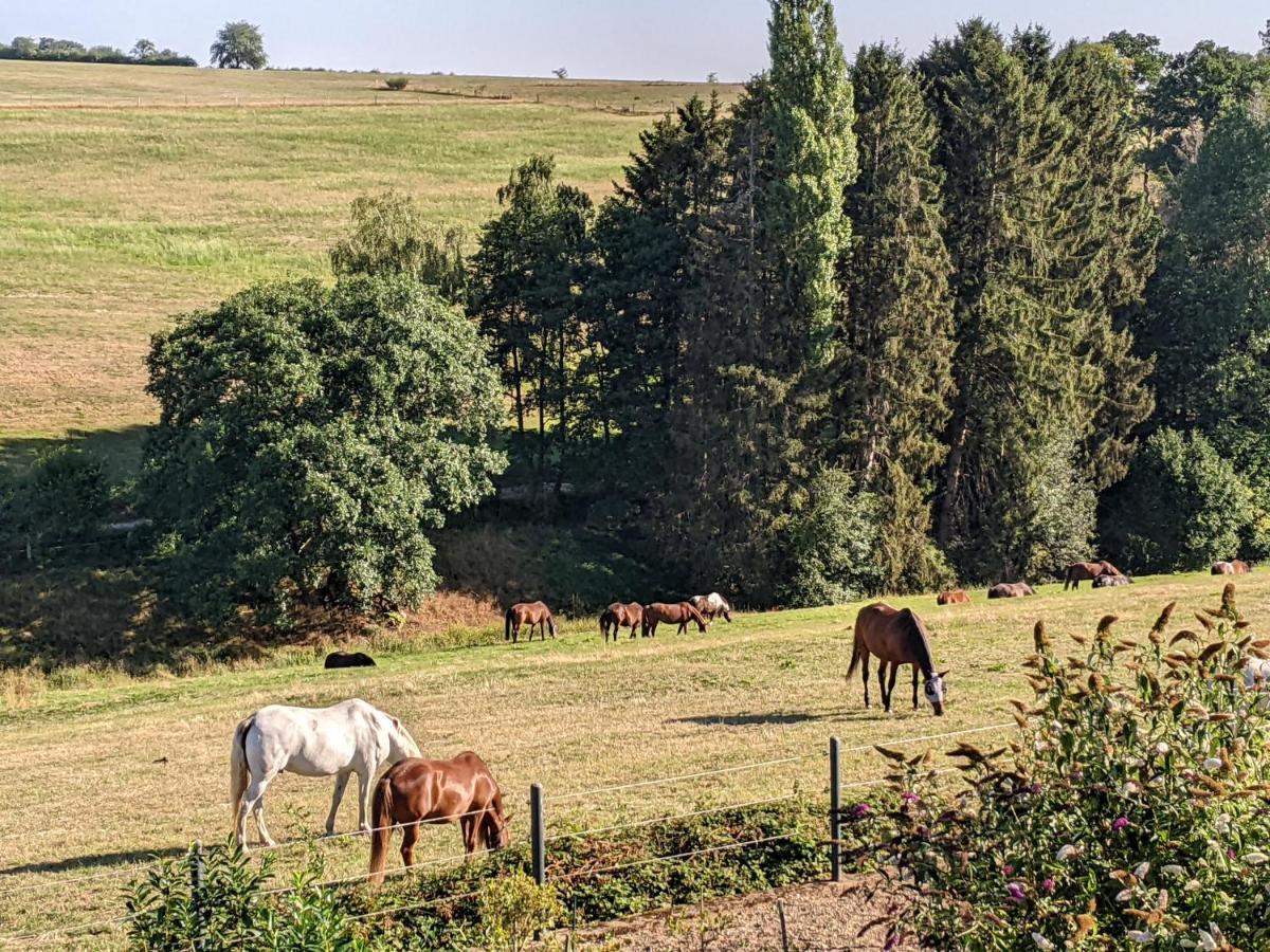 Eifel-Ferienhaus Landblick Hürtgenwald Exterior foto